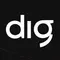 DIG AI